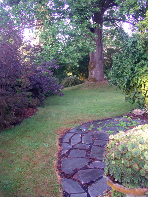 Summer view from gardens at Bouquet Banque Nursery